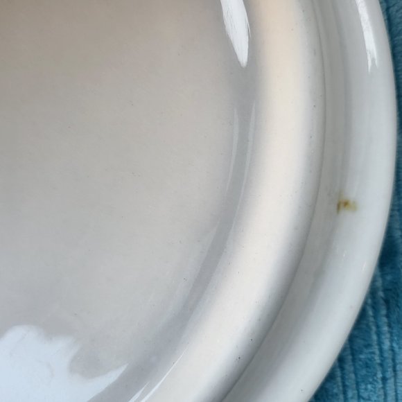 1pc RARE Vtg Jackson China Hummingbird 9.5" Chop Plate~Cooks Rest, Union… - Picture 12 of 14